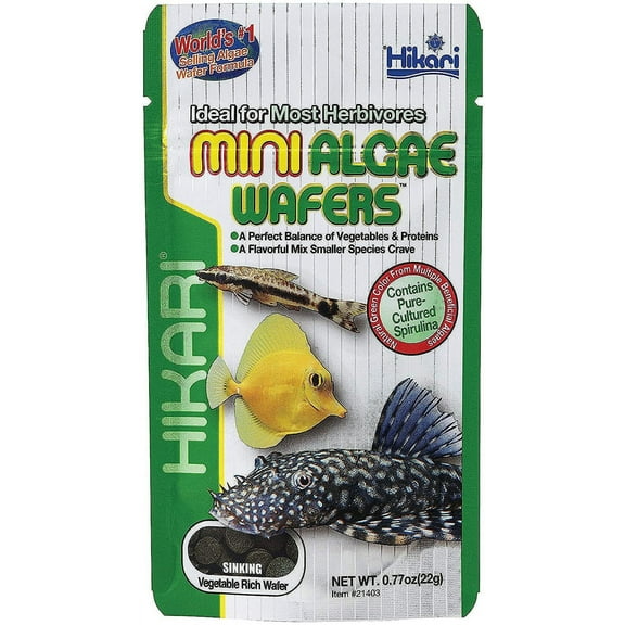 Hikari USA Algae Wafers Rapidly Sinking Wafer Fish Food