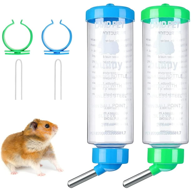 Guinea pig playing hotsell with water bottle