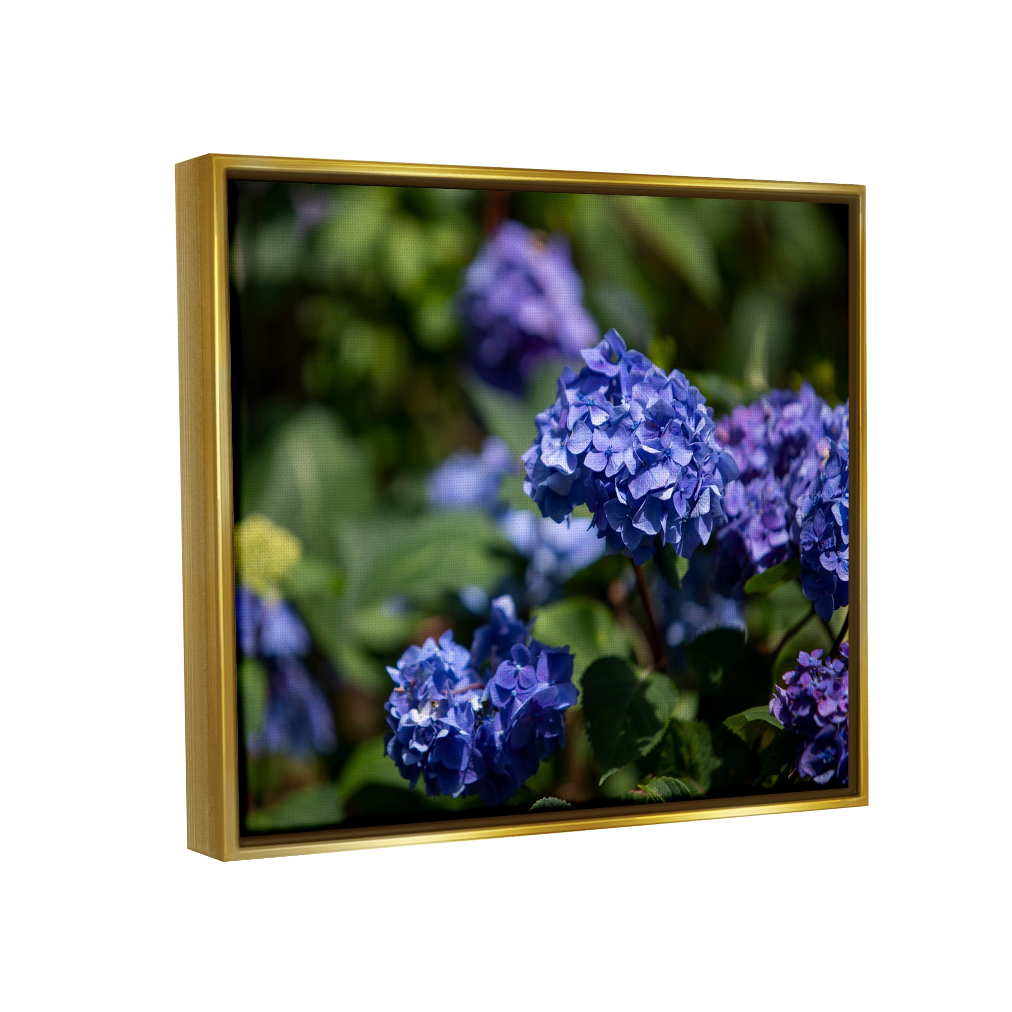 Stupell Industries Purple Hydrangea Photography Botanical & Floral Photography Gold Floater Framed Art Print Wall Art, 21 x 17