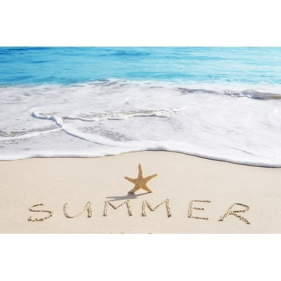 Marmont Hill "Summer Starfish" Painting Print on Wrapped Canvas