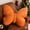Orange, variant on RBCKVXZ 15"x18" Butterflys Throw Pillow - Christmas & Valentine's Day Decorative Cushions with Double-Sided Print & Polyester Fill