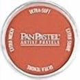thumbnail image 3 of Colorfin PPMTL-29315 PanPastel Ultra Soft Metallic Artist Pastels, 9ml, Copper, 3 of 4