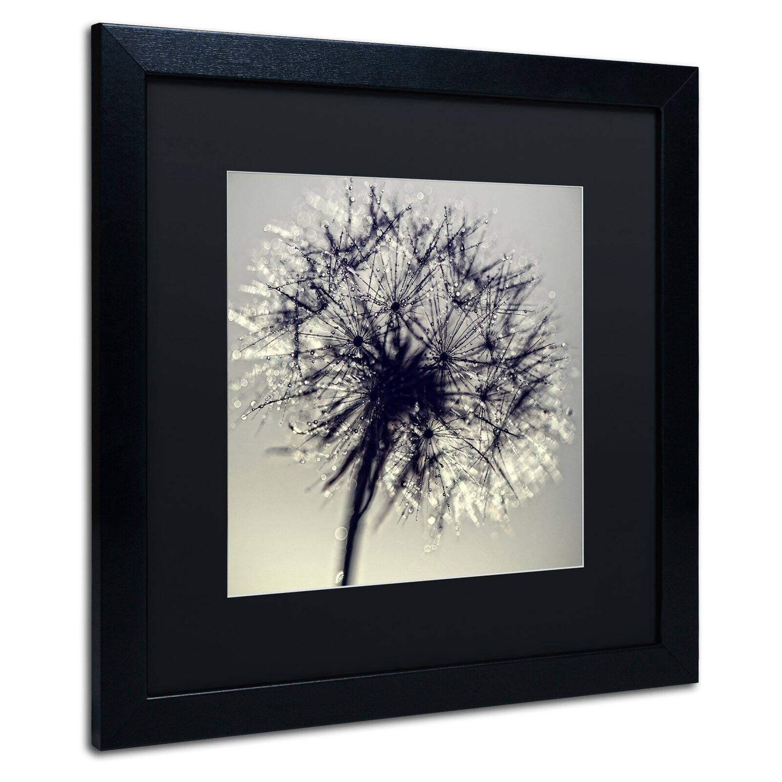 Trademark Fine Art "Morning Sparkles" Canvas Art by Beata Czyzowska Young, Black Matte, Black Frame
