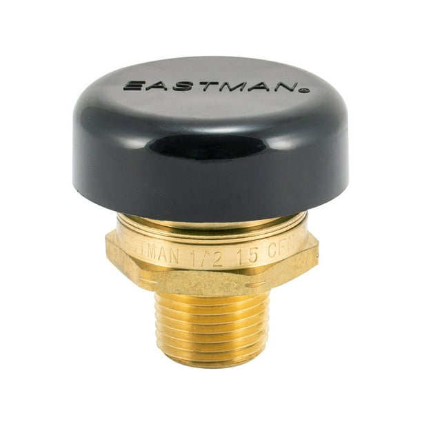 Eastman 60158 Vacuum Relief Valve 3/4" MIP, Brass