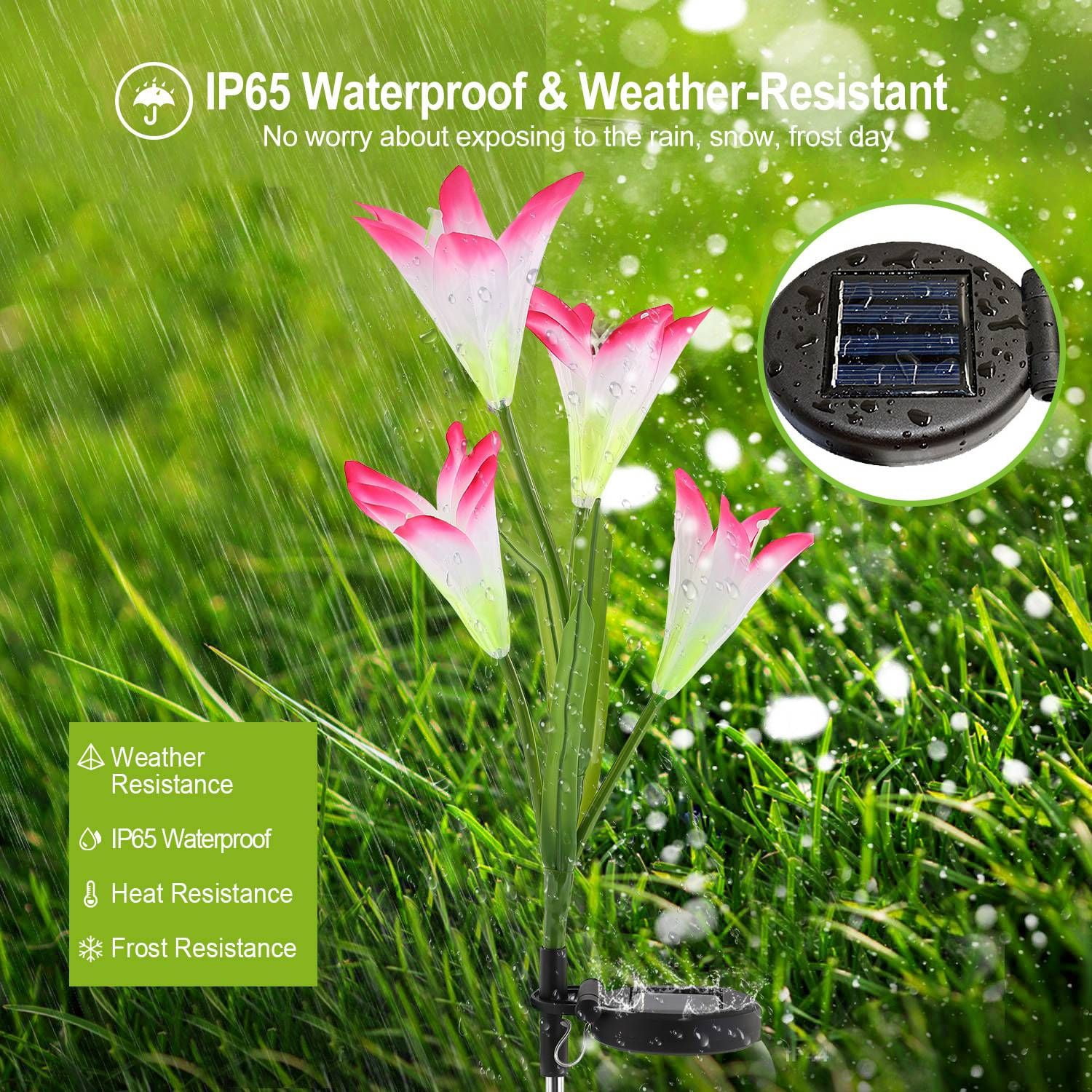 2-Pack Solar Lily Flower Garden Lights with 7-Color Changing LEDs, IP65 Waterproof, Adjustable Stems, Auto On/Off for Pathway Garden Yard Decor