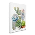 thumbnail image 3 of Stupell Industries Mixed Potted Succulent Garden Botanical & Floral Painting Gallery Wrapped Canvas Print Wall Art, 3 of 5