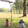 thumbnail image 3 of Flmtop Dog Nylon Traction Rope Reflective Explosion Proof Leash Outdoor Pet Supplies Blue, 3 of 9