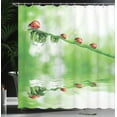 thumbnail image 4 of Ambesonne Nature Shower Curtain, Ladybug on Water Image, 69"Wx84"L, Red Green, 4 of 5