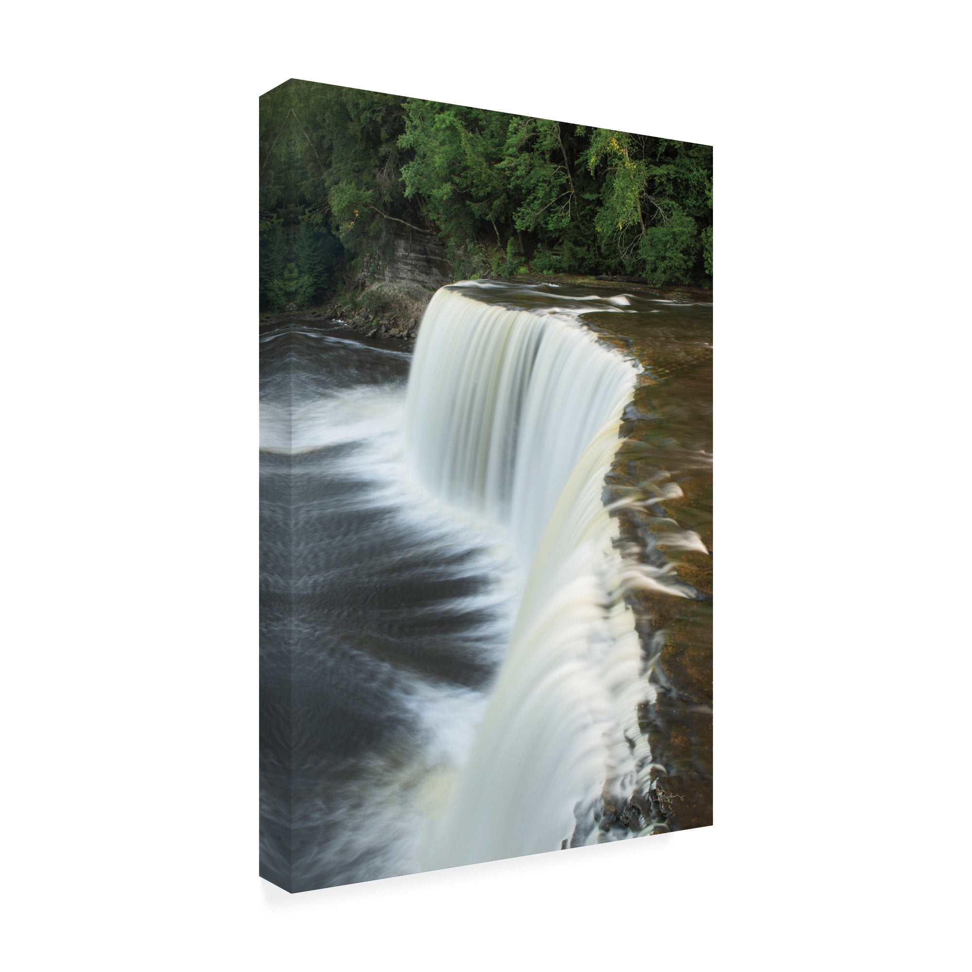 Trademark Fine Art 'Tahquamenon Falls Michigan II' Canvas Art by Alan Majchrowicz