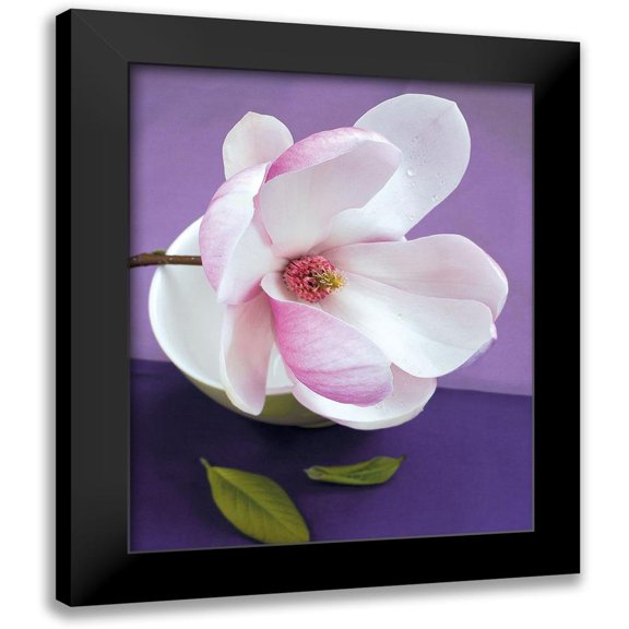 Beyler, Catherine 12x14 Black Modern Framed Museum Art Print Titled - Composition Zen - Fleur de Magnolia sur coupe verte