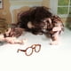 thumbnail image 2 of ColoMX 6 piezas de accesorios para muñecas, gafas en miniatura con montura redonda y lentes transparentes para muñecas bebé, cosplay, disfraces, peluches, accesorios para fotos., 2 of 8