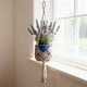 thumbnail image 4 of Kit de cesta colgante tejida DIY | Colgador de macramé para plantas con cordón de algodón suave | Decoración para macetas de interior y exterior | Decoración de pared de yute de 89 cm para el jardín, 4 of 8