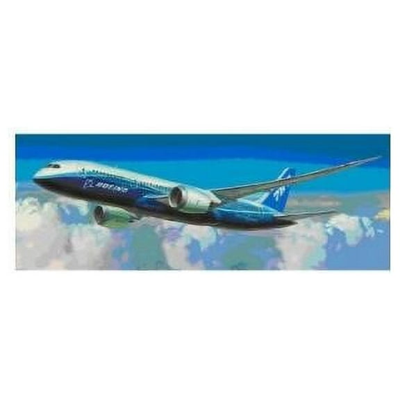 Boeing 787-8 Dreamliner SW (MINT/New)