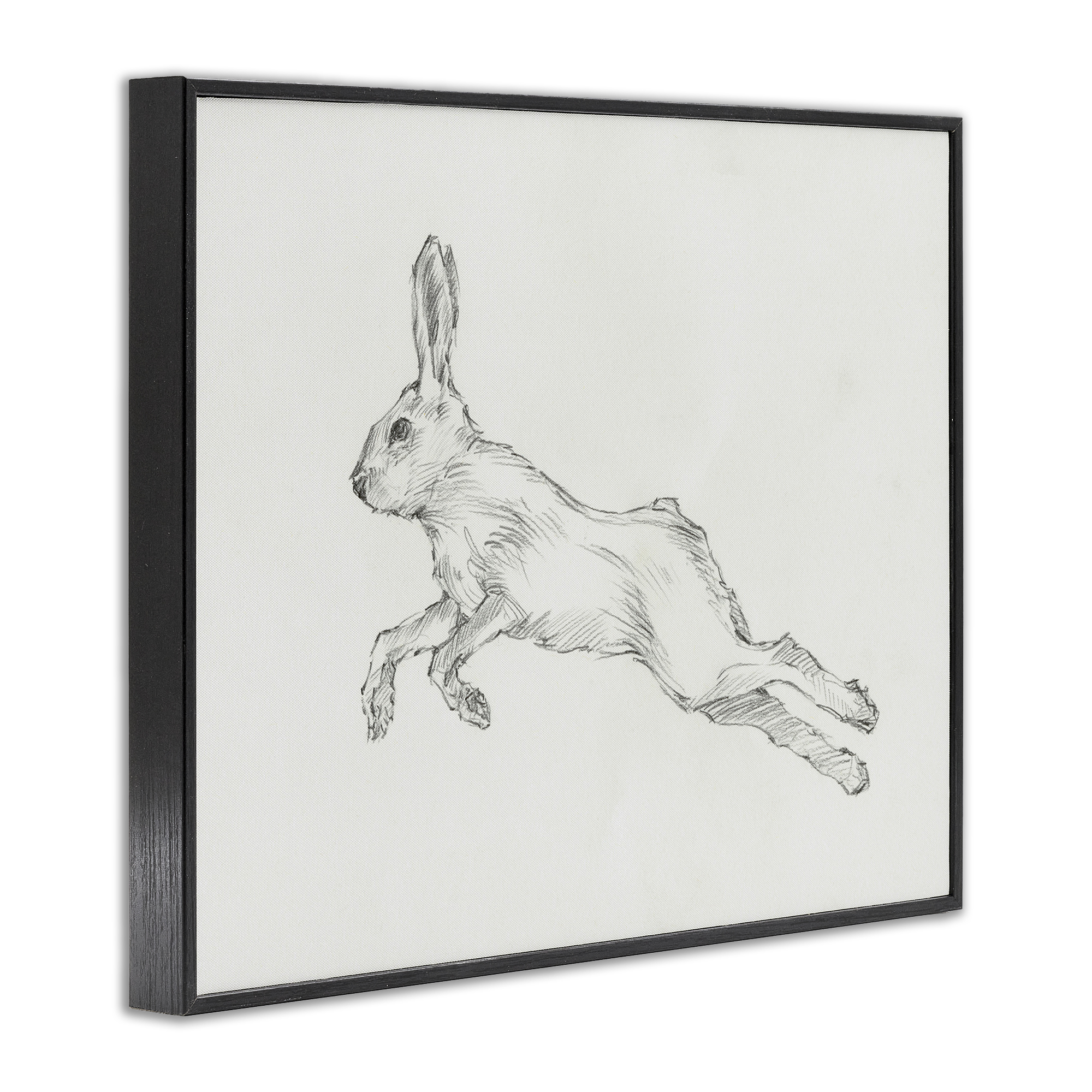 Stupell Industries Rabbit Hopping Sketch Animals & Insects Drawing Black Framed Art Print Wall Art, 30 x 24