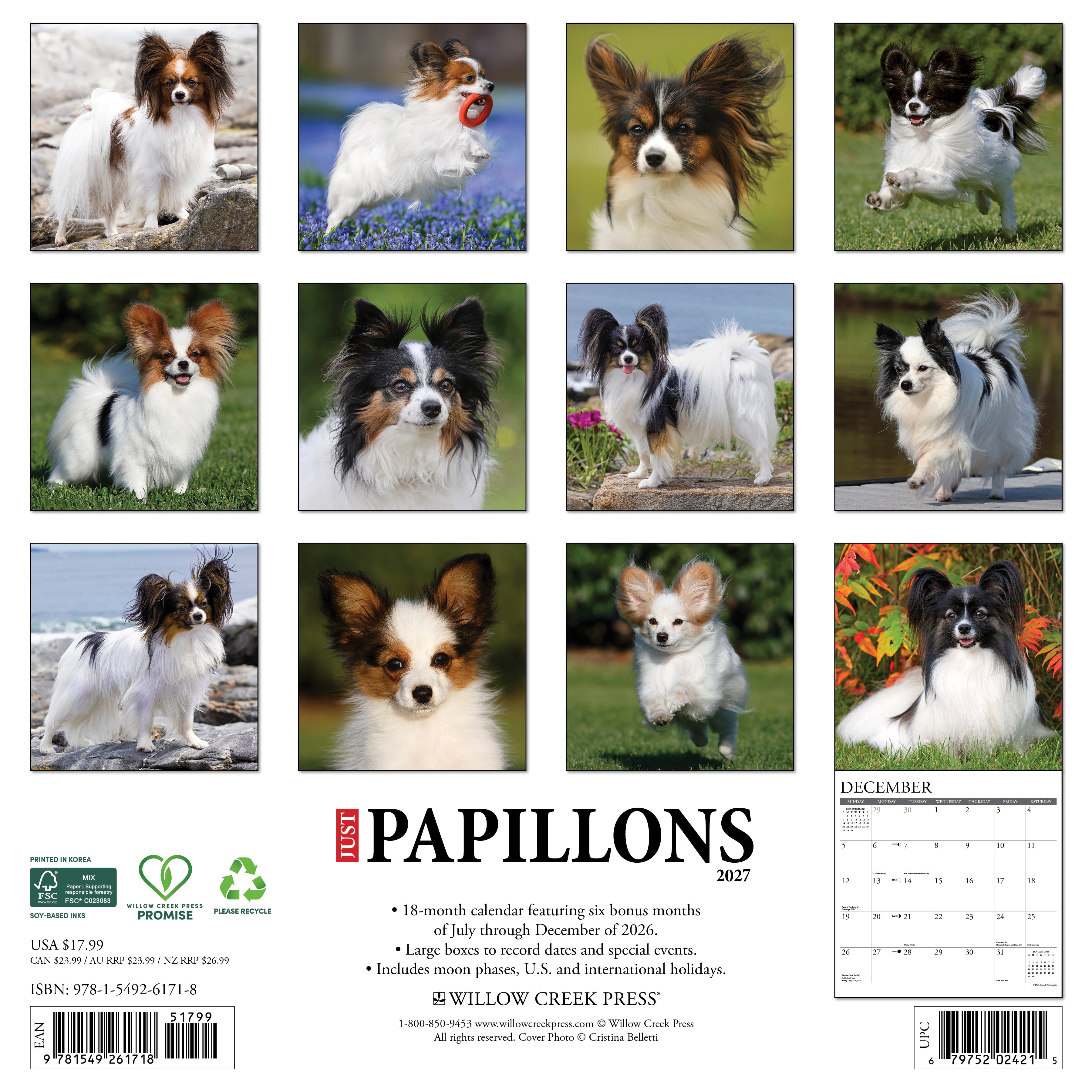 Willow Creek Press, Papillons 2027 Wall Calendar