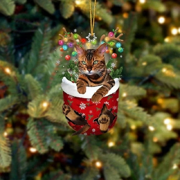Acrylic 2D FLAT Tiger Cat In Snow Pocket Christmas Ornament