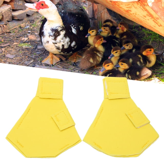 Zapatos de Pato de Mascota, Botas Protectores de Pato Gancho y Diseño de Bucle Cojín de Soporte Estable para exteriores
