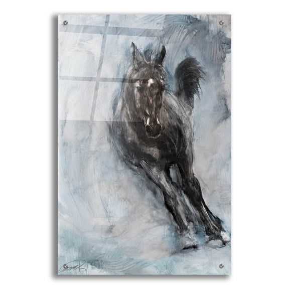 Epic Art 'Horse Frolicking' by Robert Campbell, Acrylic Glass Wall Art, 24"x36"