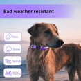 thumbnail image 3 of Light Up Dog Collar, Dog Lights for Night Walking USB Rechargeable Waterproof 7 Colors LED Dog Collar Adjustable for Small Medium Large Dogs Glow in t, 3 of 4