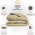 thumbnail image 5 of Lussona All Season Warm Fluffy Ultra-Soft Comforter- 100% Egyptian Cotton 1000 Thread Count 400 GSM Box Stitched Comforter- (King, Ivory), 5 of 7