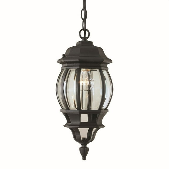1702-01-04-Forte Lighting-Bolton - 1 Light Outdoor Pendant-15.5 Inches Tall and 6.5 Inches Wide