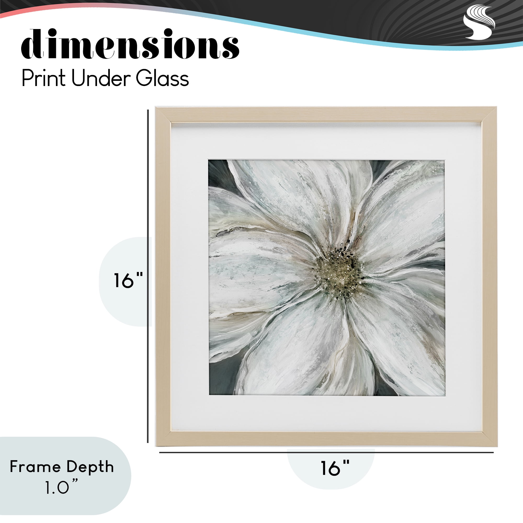 Stupell Industries Closeup Serene White Blossom Birch Framed Print Under Glass, design by Carol Robinson