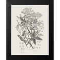 thumbnail image 2 of Wild Apple Portfolio 19x24 Black Modern Framed Museum Art Print Titled - Flowering Plants I Neutral, 2 of 5