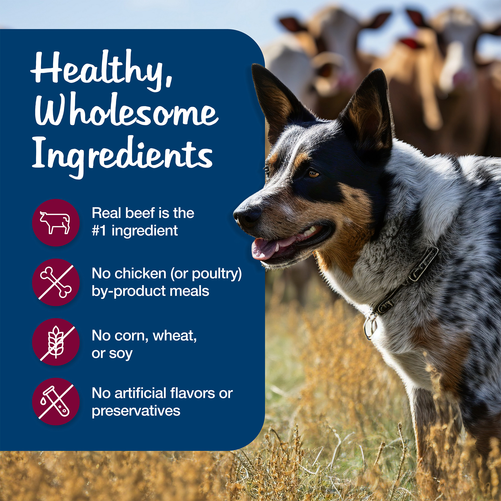 Blue Buffalo Blue's Stew Grain-Free Wet Dog Food, Beef, 12 Pack photo 7
