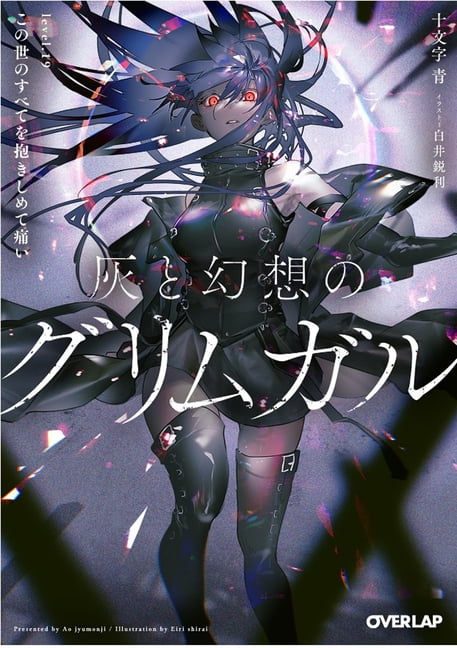 Grimgar of Fantasy and Ash Light Novel: Grimgar of Fantasy and Ash Light Novel Vol. 19 Series #19 Paperback
