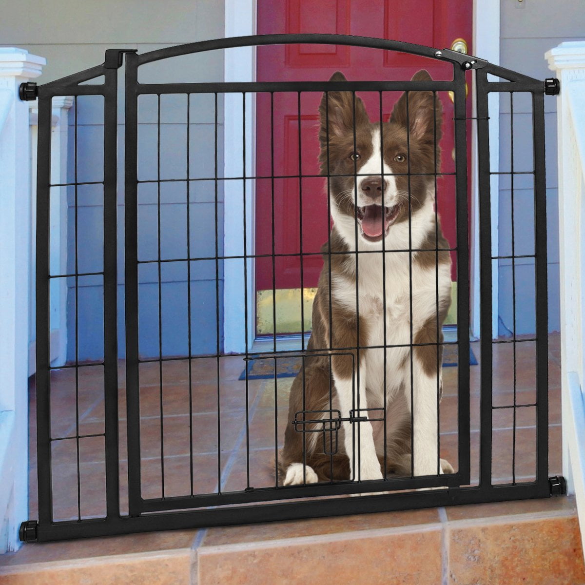 carlson pet products outdoor gates