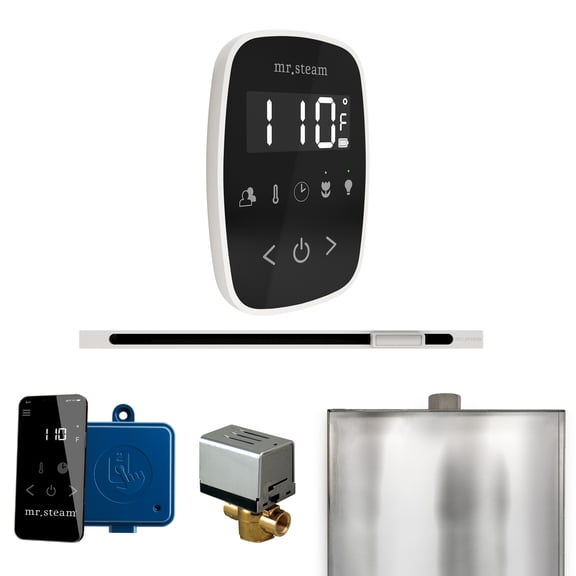 Mr Steam ButlerFlex Steam Shower Ctrl Pkg w/TempoFlex Control and Linear Steamhead in Black White