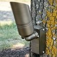 thumbnail image 3 of Tree Bracket in Centennial Brass, 3 of 7