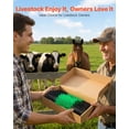 thumbnail image 6 of VEVOR Livestock Scratching Brush, 2PCS Goat Scratcher Brush Post with 8 Screws, 16.9" x 7.5" Cow Scratcher for Back Itch Relief, Massage Grooming Scratch Tool for Horse Cattle Sheep Pig,Green & Black, 6 of 9