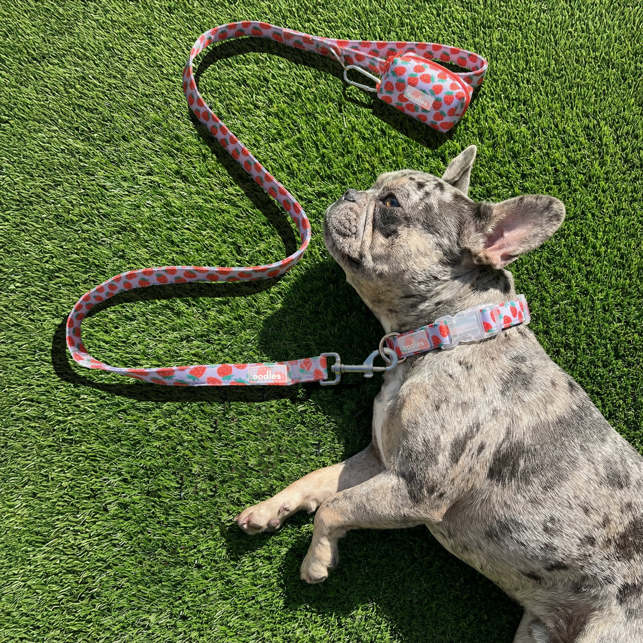 Oodles Purple Strawberry Print Dog Walking 3 Piece Set, Small