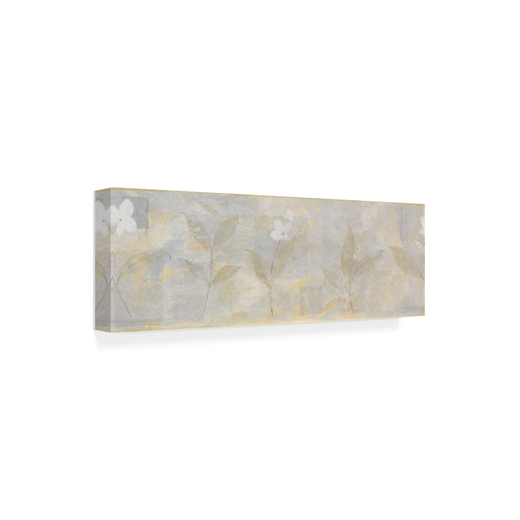 Trademark Fine Art 'White Abstract' Canvas Art by Pablo Esteban