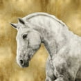 thumbnail image 2 of Rose, Martin 15x15 White Modern Wood Framed Museum Art Print Titled - White Stallion on Gold, 2 of 4