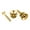 Gold, variant on Allparts Standard Strap Buttons