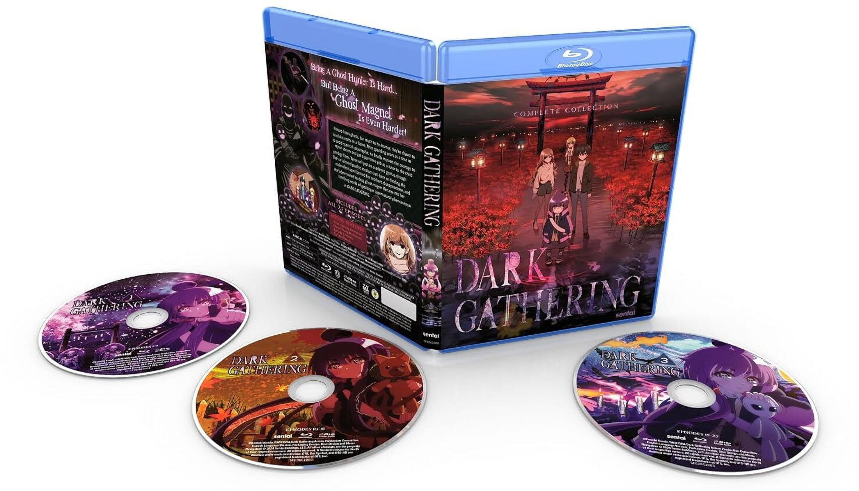 Dark Gathering (Blu-ray) (Complete Collection) - Walmart.com