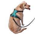 thumbnail image 2 of Fotbe a Teal Ribbonin Arnés para Perro con Estampado –Chaleco Ajustable Acolchado con Asa de Control para Perros Grandes-Medium, 2 of 6