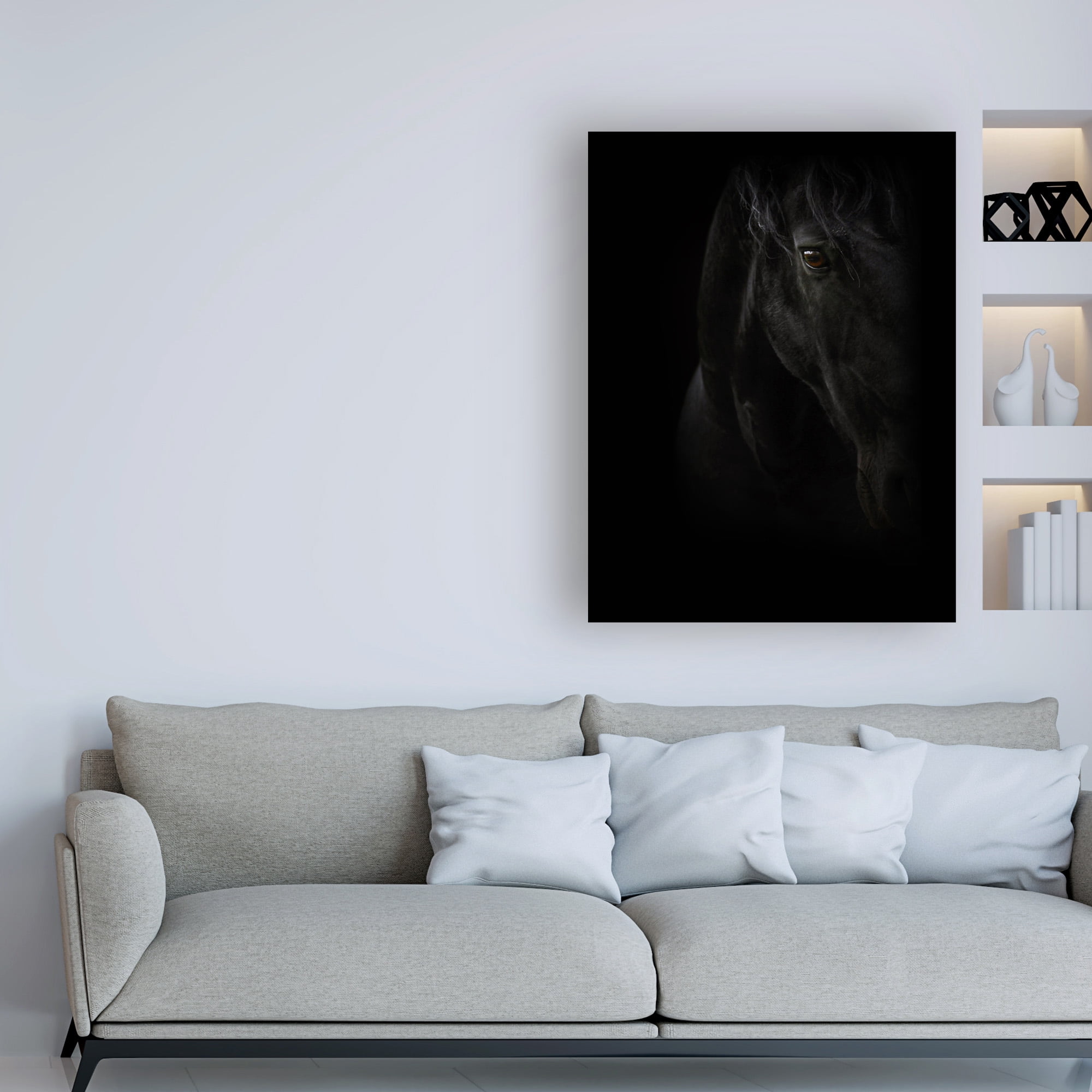 Trademark Fine Art 'Black Pearl' Canvas Art by PhotoINC Studio
