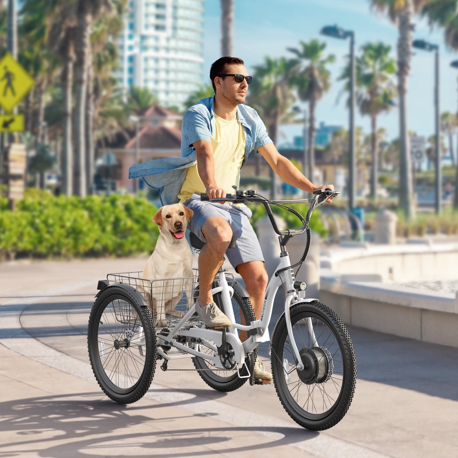 ANCHEER Electric Tricycle for Adults,24" Folding Electric Trike,3 Wheels Electric Bicycle Bikes,350W Step-Thru Etrike with 48V/499Wh Removable Battery,15.5MPH & 55Miles Electric Bike UL2849