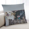 thumbnail image 1 of Ahgly Company Dogs Dogs Indoor Throw Pillow, 18 inch by 18 inch, 1 of 6
