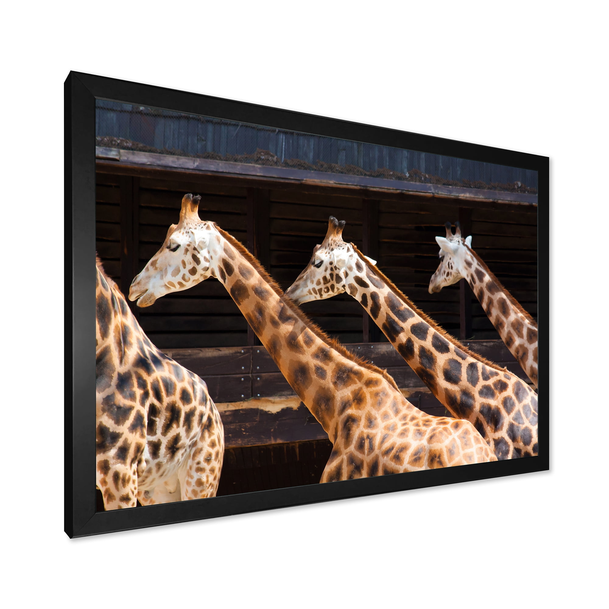 Designart 'Portrait Of Three Giraffes Running' Farmhouse Framed Art Print
