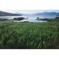 thumbnail image 2 of Posterazzi DPI1884397 Field of Grass & Coastline Poster Print, 19 x 12, 2 of 4