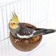 thumbnail image 4 of Birds Hut Parrots Nest Hanging Tree House for Small Birds Hamster Portable Bird Chewing Toy Nest PerchBed Bird Cage Toy, 4 of 4