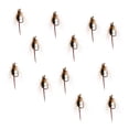 thumbnail image 2 of 12pcs Cebos Artificiales Príncipes Ninfa Cabeza Abejorro Artificial Vuela Carnada Sunnimix Bead Head Prince Nymph, 2 of 6