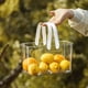thumbnail image 1 of Cesta de frutas portátil, cesta de mano transparente, cómoda cesta de mano transparente, cesta de almacenamiento de frutas de primera línea, 1 of 12