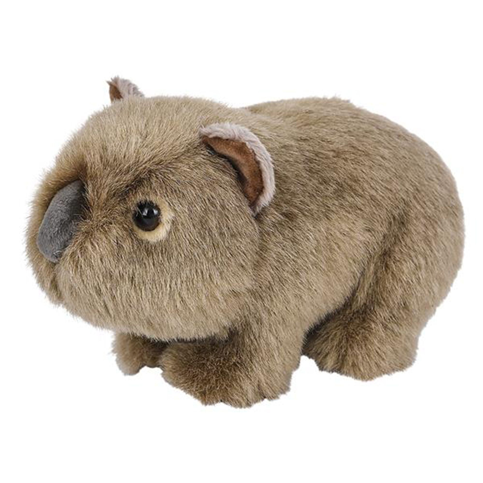 stuffed wombat