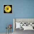 thumbnail image 3 of Yellow Gerbera Daisy, Botanical Framed Art Print Wall Art by Jim Christensen Sold by Art.Com, 3 of 5