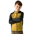 thumbnail image 4 of Regatta Boys/Girls Andreson Hybrid Padded Jacket, 4 of 5
